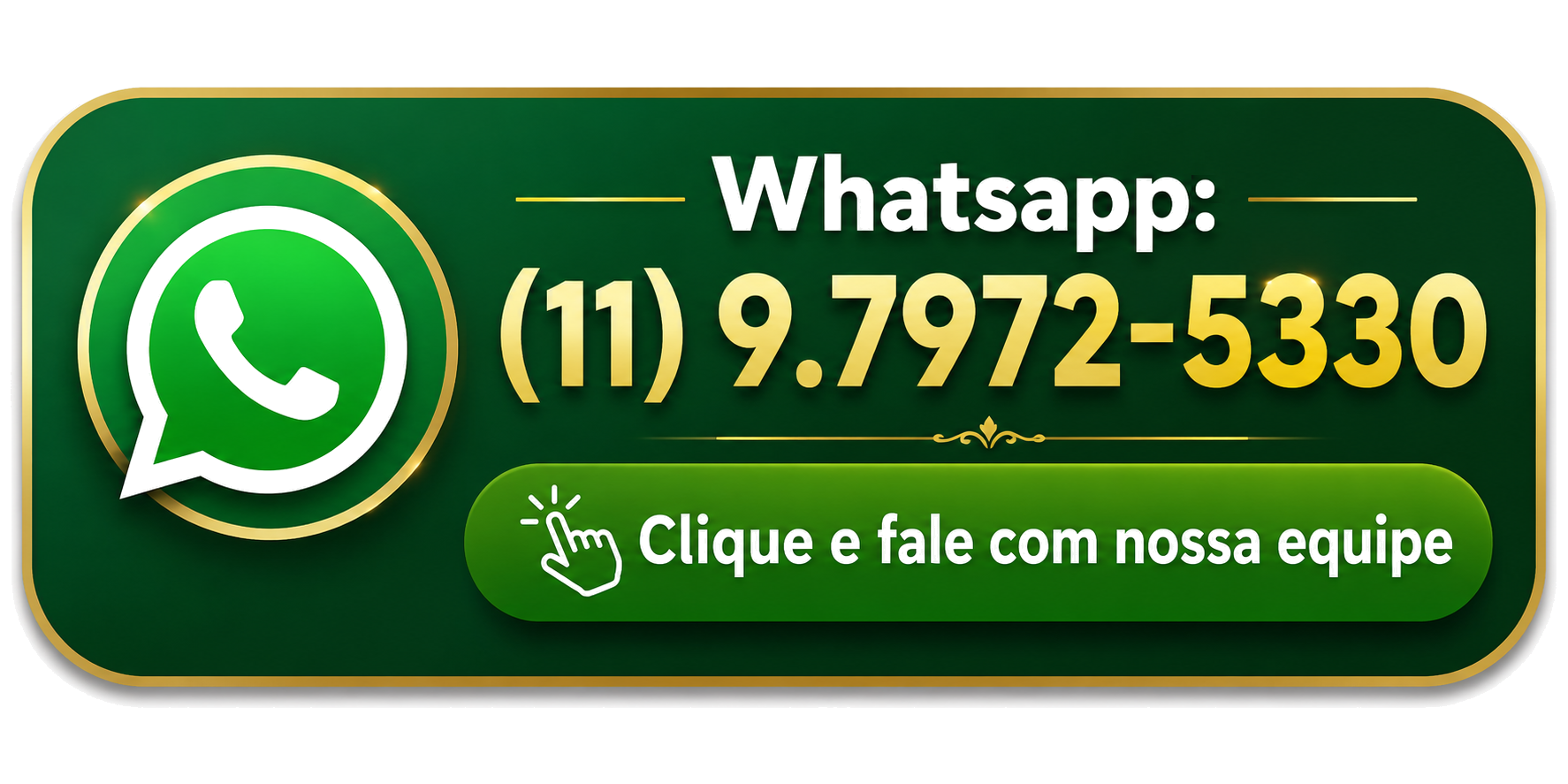 Falar com a AéreoBychos pelo WhatsApp